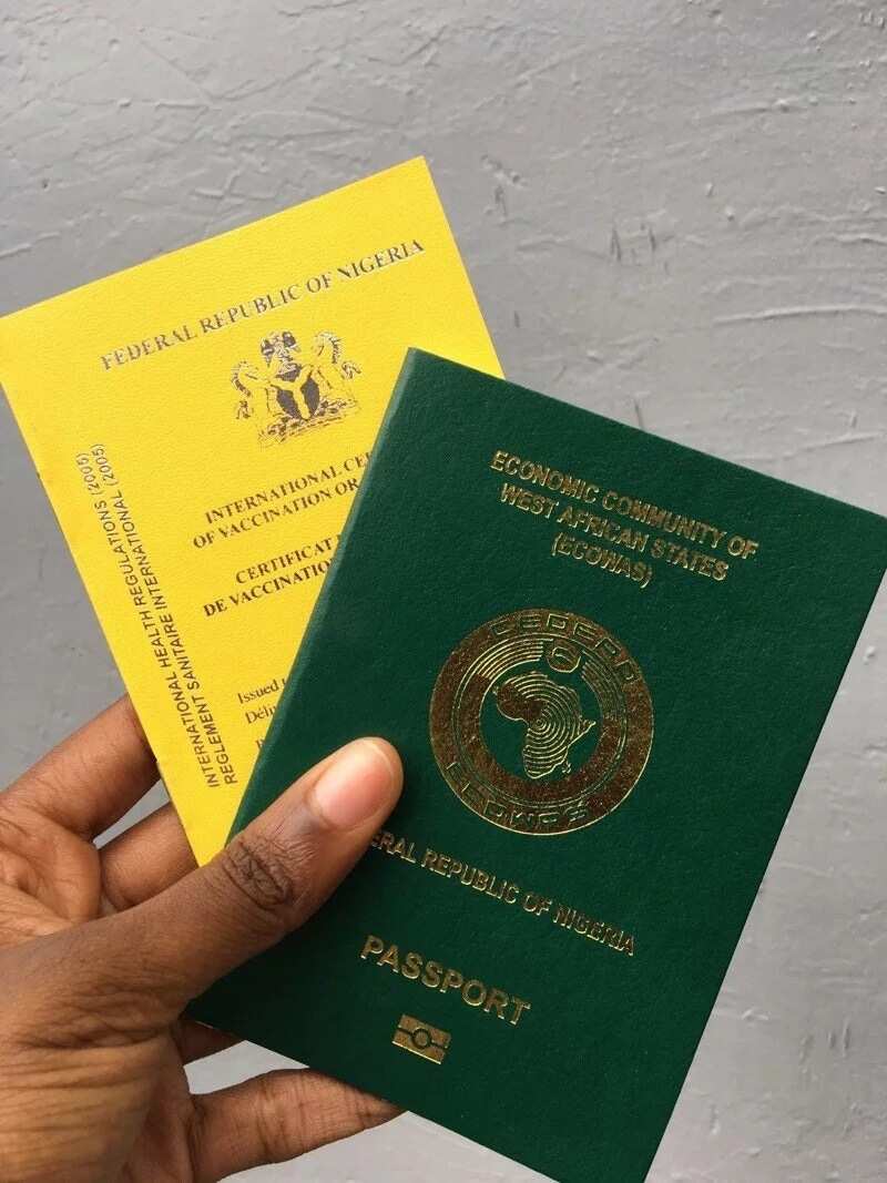 Where is Nigerian passport book number located?