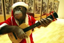 Photo of Лучшие юмористические моменты