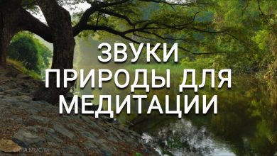 Photo of Звуки природы для релаксации