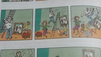 Photo of Юмористические скетчи и истории