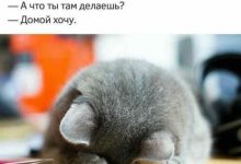 Photo of Приколы на работе и дома