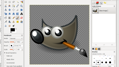 Photo of Лучшие программы для создания анимации